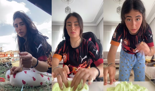 elosum929's Live Session — Aug 31, 2026, 7:35 AM