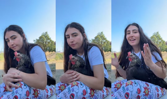elosum929's Live Session — Sep 1, 2026, 6:08 AM