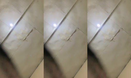 evaaskm's Live Session — Aug 24, 2026, 7:25 PM