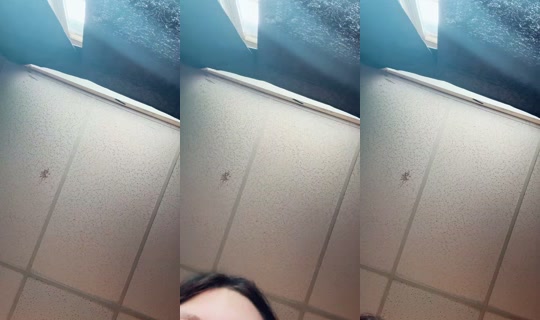 feleshadeberry702's Live Session — Jul 24, 2026, 11:00 PM