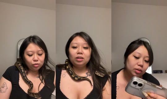 ferallphoenix's Live Session — Jul 24, 2026, 6:11 PM
