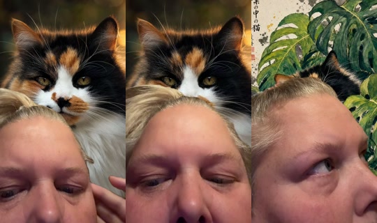 fireworxrainbow's Live Session — Oct 21, 2026, 7:25 PM