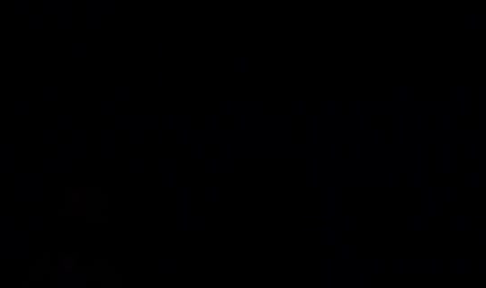 gassyymaddiee's Live Session — Jul 27, 2026, 4:49 AM
