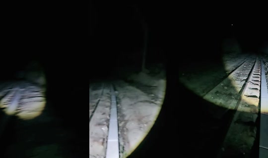 gatomonx7's Live Session — Sep 5, 2026, 4:42 AM