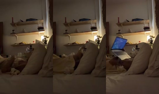 gozdekirtask's Live Session — Sep 7, 2026, 9:18 PM
