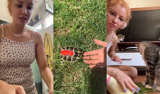 gozdemeta's Live Session — Jul 26, 2026, 11:52 AM