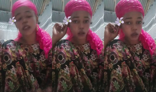 hiboqueeni's Live Session — Sep 16, 2026, 11:43 PM