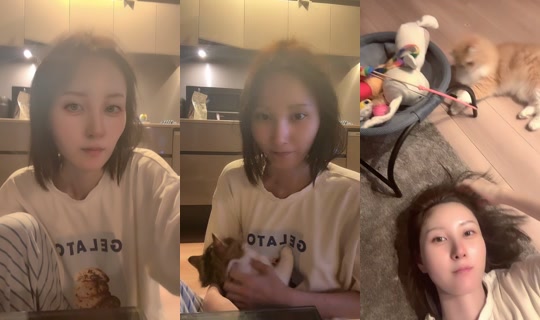 himeno801's Live Session — Jul 12, 2026, 10:53 AM
