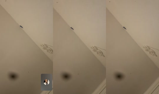 husslaaxx's Live Session — Jul 13, 2026, 11:15 PM