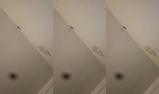 husslaaxx's Live Session — Jul 14, 2026, 12:06 AM