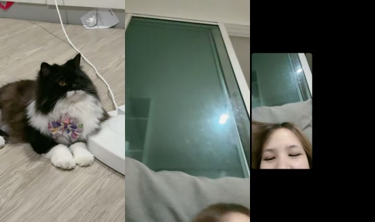 ig.panisara.aaa's Live Session — Jul 8, 2026, 2:11 PM