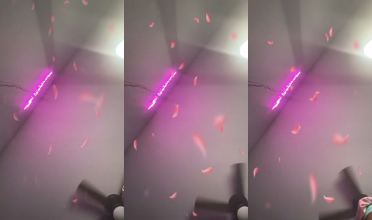 ilovejaymarie2_'s Live Session — Jul 24, 2026, 3:52 AM