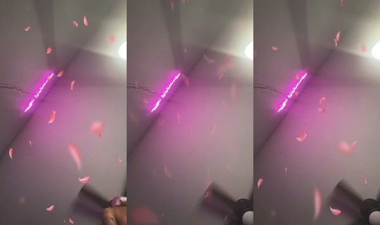 ilovejaymarie2_'s Live Session — Jul 24, 2026, 4:43 AM
