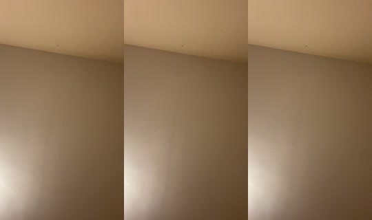 indiarodriguez822's Live Session — Oct 15, 2026, 3:51 AM