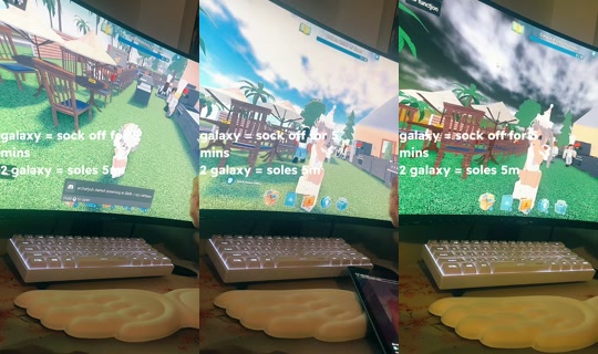iqsliveacc's Live Session — Aug 3, 2026, 8:29 PM
