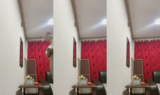 isabelfernanda384's Live Session — Jul 26, 2026, 11:56 PM