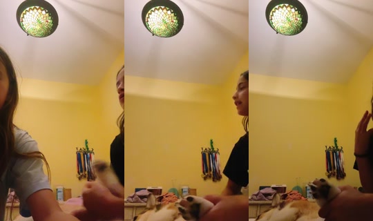 isla.is.a.picklee's Live Session — Aug 24, 2026, 1:28 AM