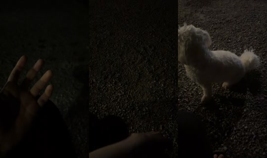 ithathornwell's Live Session — Aug 4, 2026, 11:27 PM