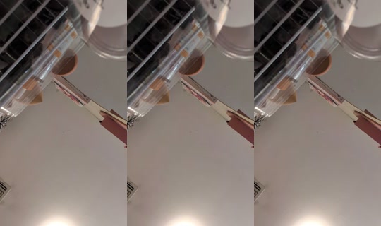 izabellazuniga's Live Session — Jul 20, 2026, 11:48 PM