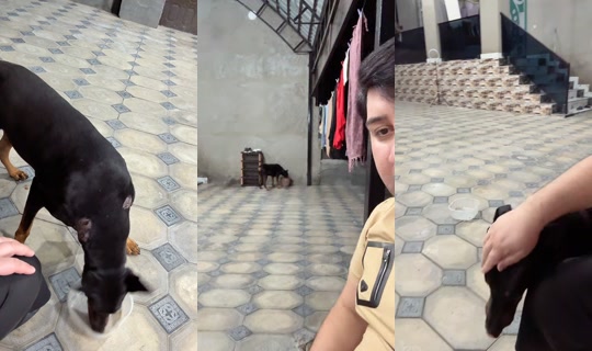 jabbarov.bb's Live Session — Oct 11, 2026, 12:14 AM