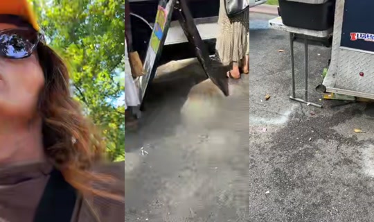 jacquelinefoxyfizz's Live Session — Aug 30, 2026, 8:33 PM