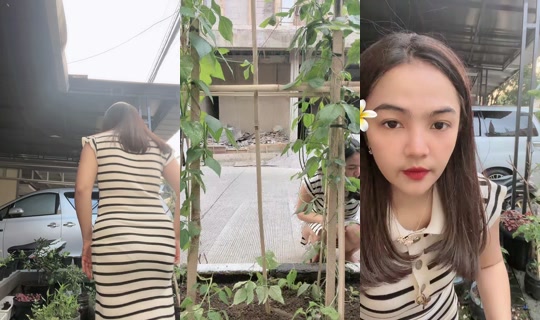 jamelaoktavia0's Live Session — Aug 21, 2026, 9:10 AM