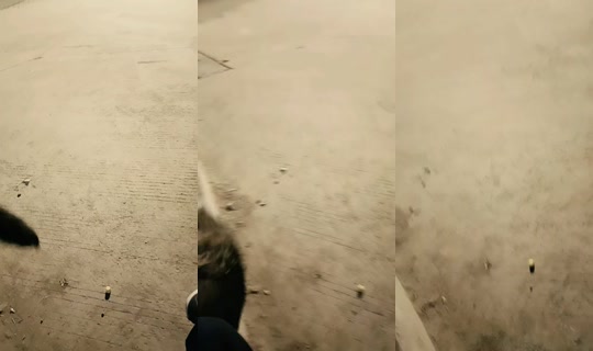 jhojan_zg4's Live Session — Jul 30, 2026, 7:15 AM