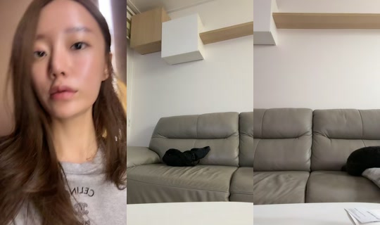 justssbh's Live Session — Aug 24, 2026, 12:24 PM