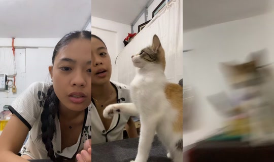 keemjade's Live Session — Oct 15, 2026, 10:09 AM