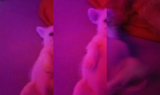 keisymua2's Live Session — Jul 31, 2026, 3:51 AM