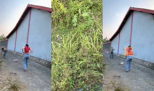 kekasih.gelapmuuuu's Live Session — Jul 28, 2026, 9:32 AM