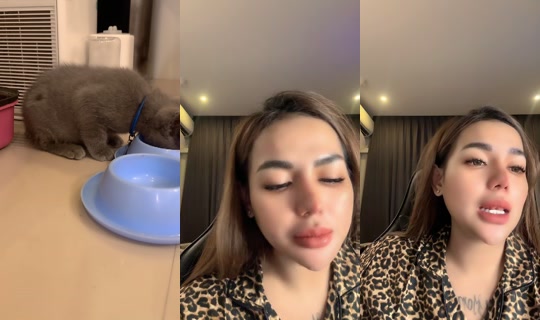 kiakiaa_07's Live Session — Sep 20, 2026, 8:45 PM
