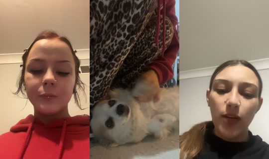 korzy01's Live Session — Oct 29, 2026, 1:13 PM