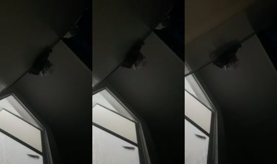 lachicaacuario33's Live Session — Oct 2, 2026, 4:35 AM