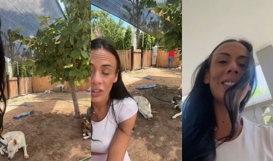larchedenanaa's Live Session — Aug 3, 2026, 3:35 AM