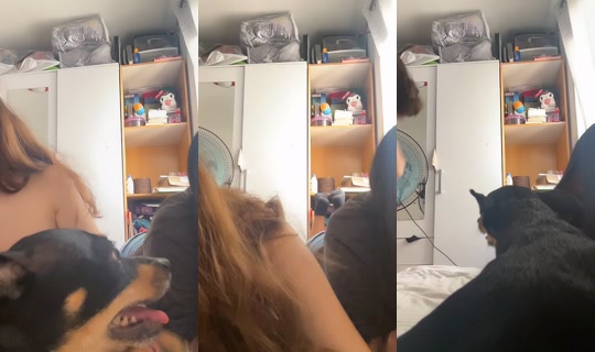lasecundaria_delaaiina's Live Session — Jul 18, 2026, 4:39 PM