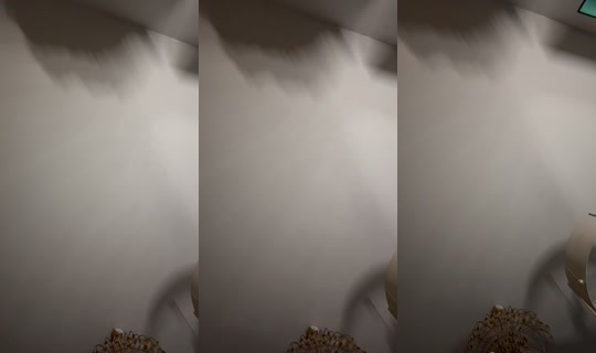 lauren75forever's Live Session — Sep 7, 2026, 8:55 PM