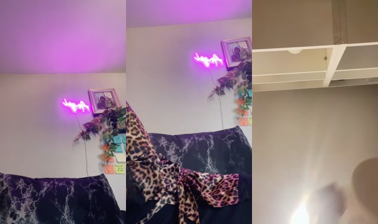 lifeaslala_'s Live Session — Jul 28, 2026, 3:17 AM