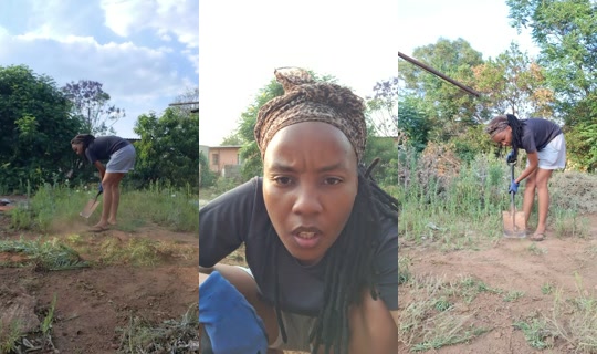 lifewithprettyd's Live Session — Oct 18, 2026, 2:59 PM