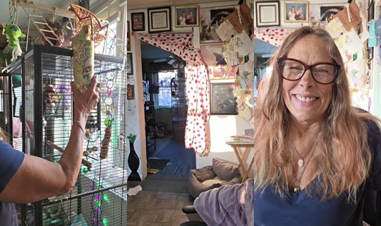 lisawebberbaker4's Live Session — Oct 30, 2026, 12:14 PM