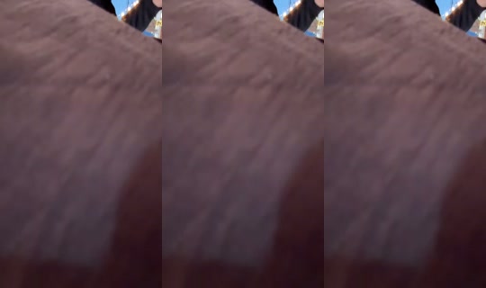 lml7925's Live Session — Jul 31, 2026, 5:37 PM