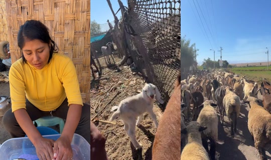 lvrosario23's Live Session — Jul 8, 2026, 2:36 PM