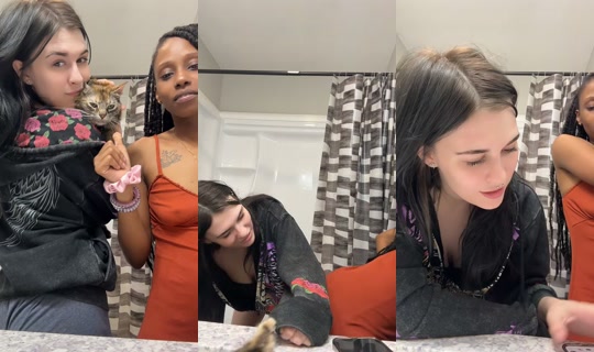 madyywadyyy's Live Session — Jul 27, 2026, 6:52 AM
