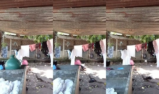 maira.zecea's Live Session — Aug 15, 2026, 5:23 PM