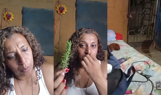 maira.zecea's Live Session — Aug 17, 2026, 3:14 AM