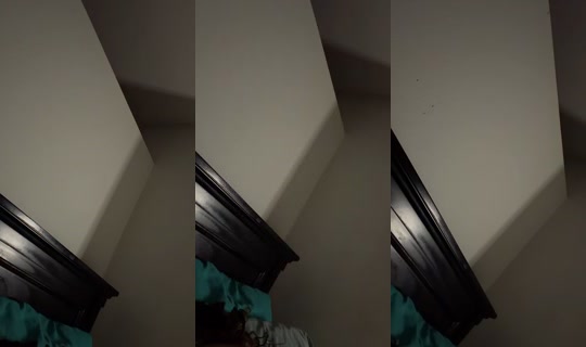 majy315's Live Session — Jul 25, 2026, 10:04 AM