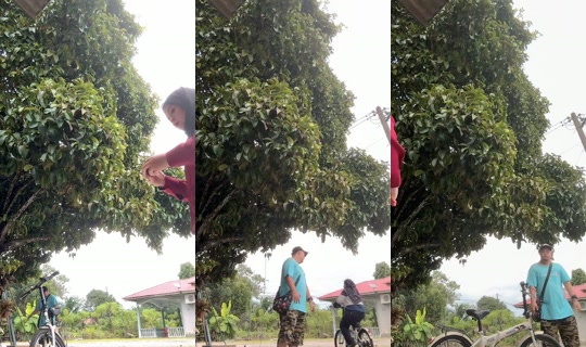 mamanaura66's Live Session — Jul 26, 2026, 10:09 AM