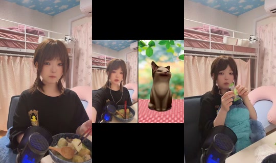 mamesuke_kogaki's Live Session — Sep 8, 2026, 10:27 AM