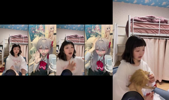 mamesuke_kogaki's Live Session — Sep 9, 2026, 11:44 AM