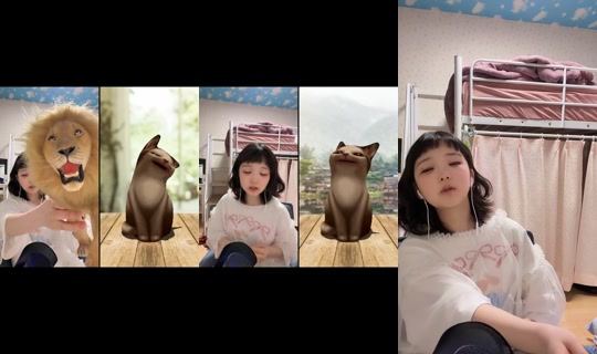 mamesuke_kogaki's Live Session — Sep 9, 2026, 12:34 PM